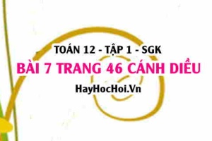 Bài 7 trang 46 Toán 12 tập 1 Cánh Diều